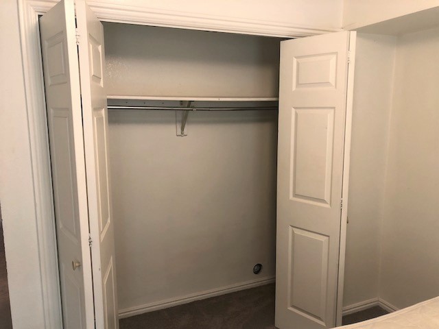Large Closet with shelves